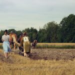 Comprendre le fonctionnement des sociétés agricoles : focus sur les EARL et GAEC découvrez l'univers fascinant des sociétés agricoles, leur impact sur l'environnement, l'économie et les traditions culturelles. explorez les enjeux contemporains de l'agriculture durable et l'importance des communautés rurales dans un monde en pleine évolution.
