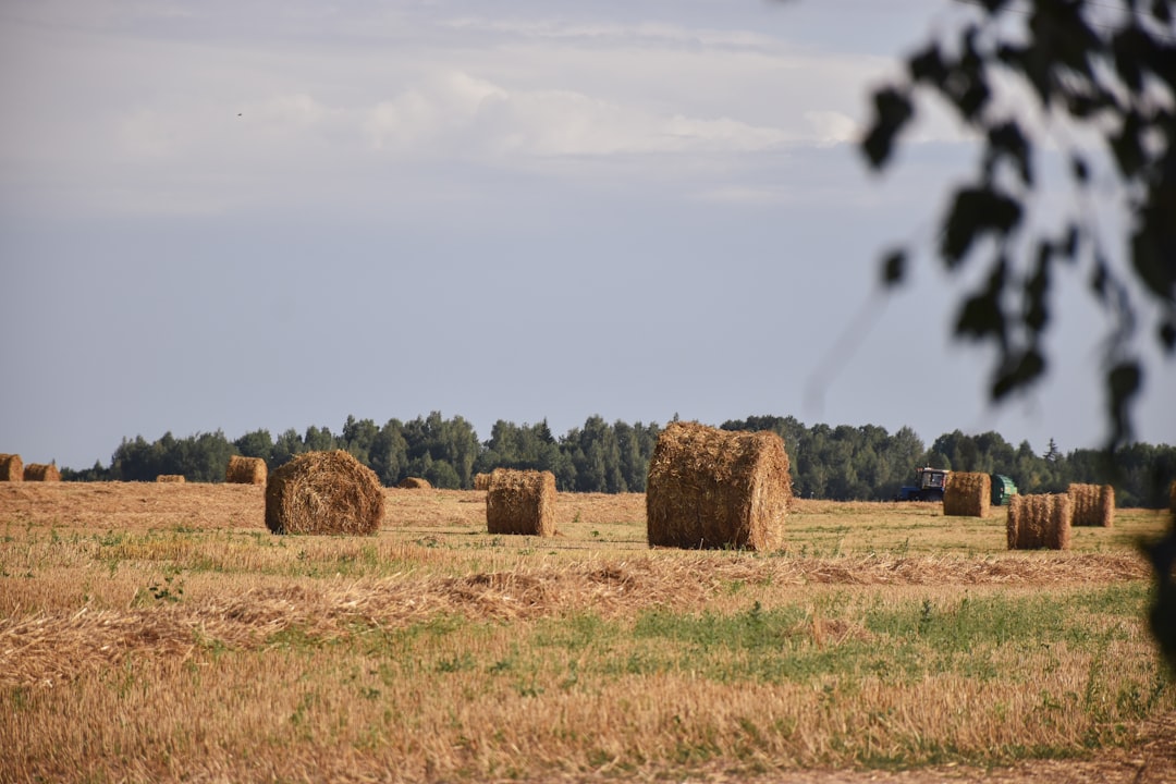 découvrez l'importance des sociétés agricoles dans le développement durable, leur rôle dans la sécurité alimentaire et les défis qu'elles rencontrent. explorez comment ces communautés contribuent à l'économie locale tout en préservant l'environnement.