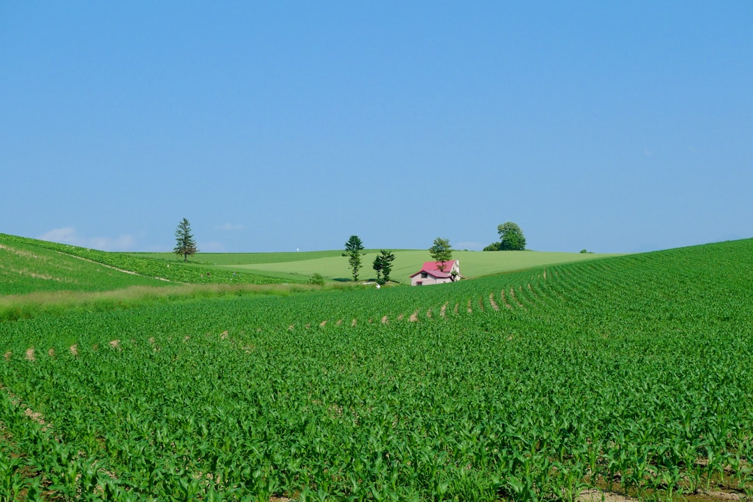 découvrez les sociétés agricoles : leur rôle essentiel dans l'agriculture moderne, les défis qu'elles rencontrent et les innovations qui transforment le secteur. plongez dans l'univers des pratiques durables et des initiatives communautaires qui façonnent l'avenir de l'agriculture.