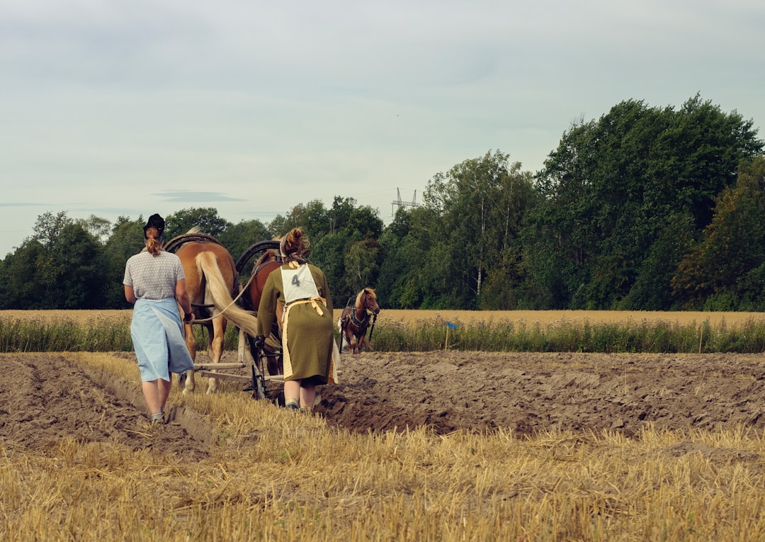 découvrez l'univers fascinant des sociétés agricoles, leur impact sur l'environnement, l'économie et les traditions culturelles. explorez les enjeux contemporains de l'agriculture durable et l'importance des communautés rurales dans un monde en pleine évolution.
