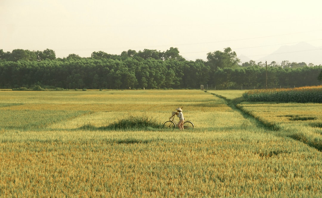 découvrez le statut agricole en france : enjeux, régulations et impacts sur le secteur. informez-vous sur les politiques agricoles, les droits des agriculteurs et les défis contemporains de l'agriculture.