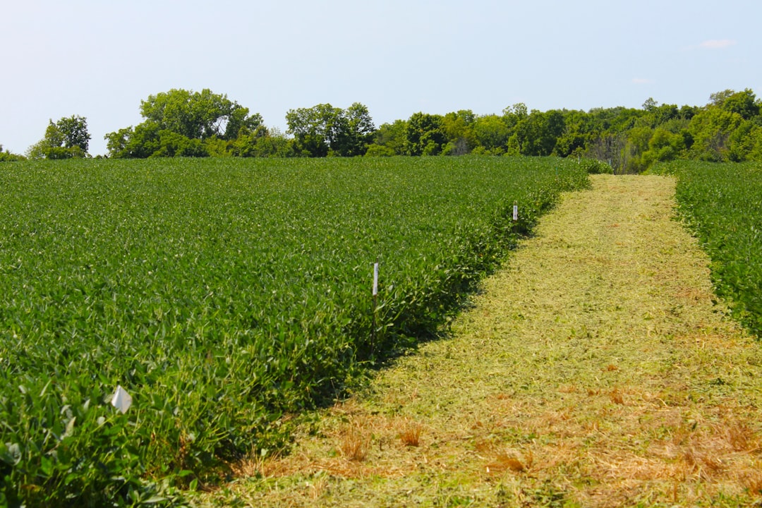 découvrez l'état actuel de l'agriculture, ses enjeux et ses perspectives. explorez les tendances, les défis et les innovations qui façonnent le secteur agricole à l'échelle mondiale.