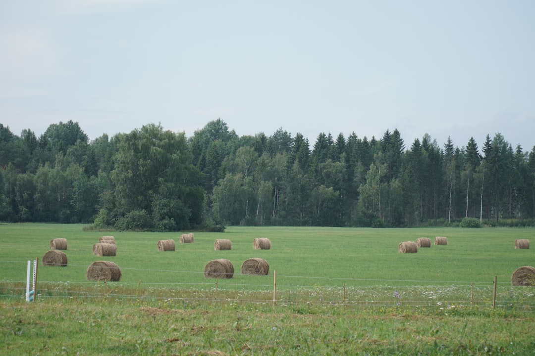 découvrez l'état actuel de l'agriculture, ses défis et ses opportunités. analyse des tendances agricoles, des innovations et des politiques qui façonnent le secteur. informez-vous sur les implications pour les agriculteurs et la sécurité alimentaire.