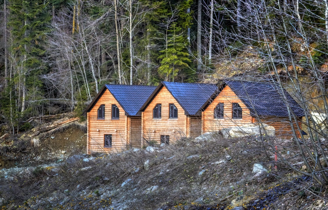découvrez notre charmant bed and breakfast, un havre de paix où confort et convivialité se rencontrent. profitez d'un hébergement douillet, de délicieux petits-déjeuners faits maison et d'un service chaleureux pour une escapade inoubliable.