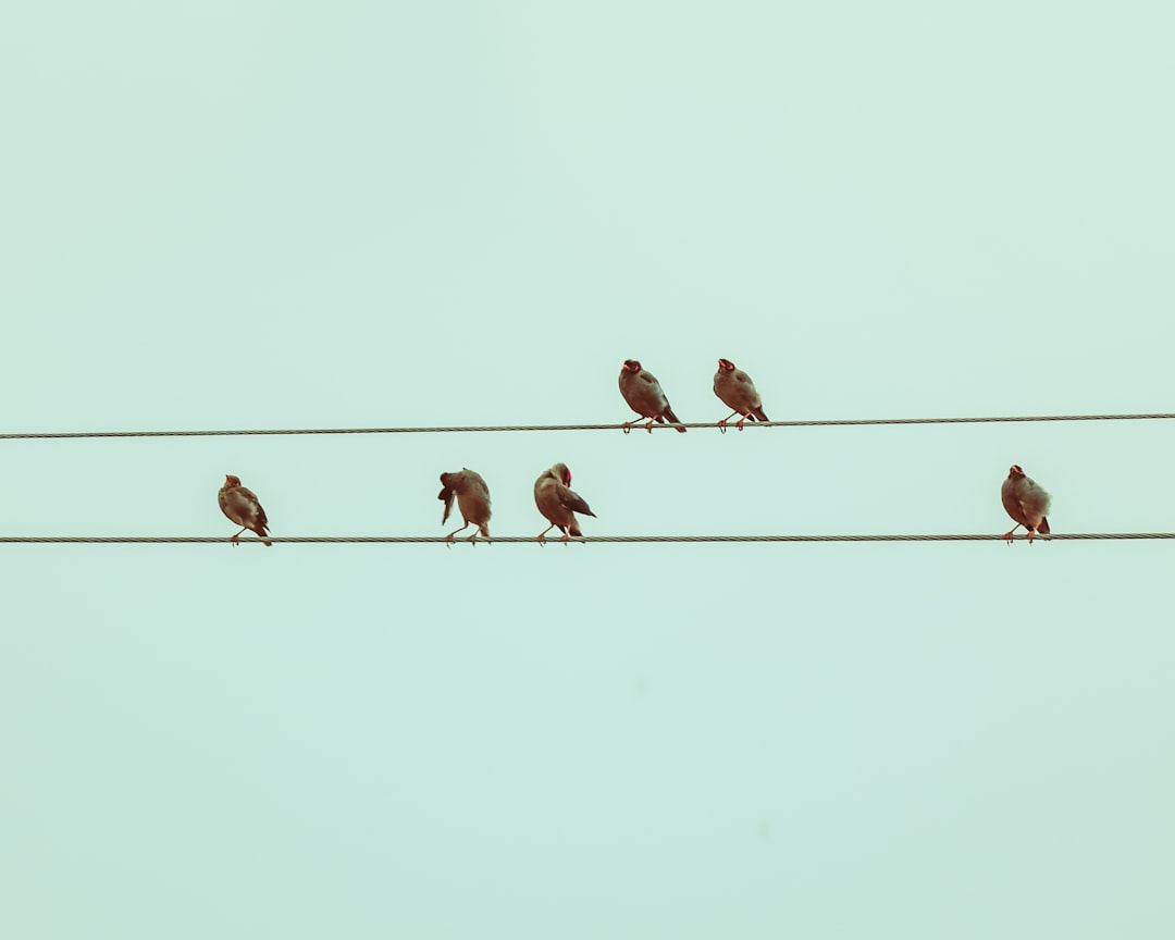 découvrez nos formations en business conçues pour vous aider à développer vos compétences entrepreneuriales, améliorer votre stratégie marketing et optimiser la gestion de votre entreprise. rejoignez-nous pour transformer vos idées en succès !