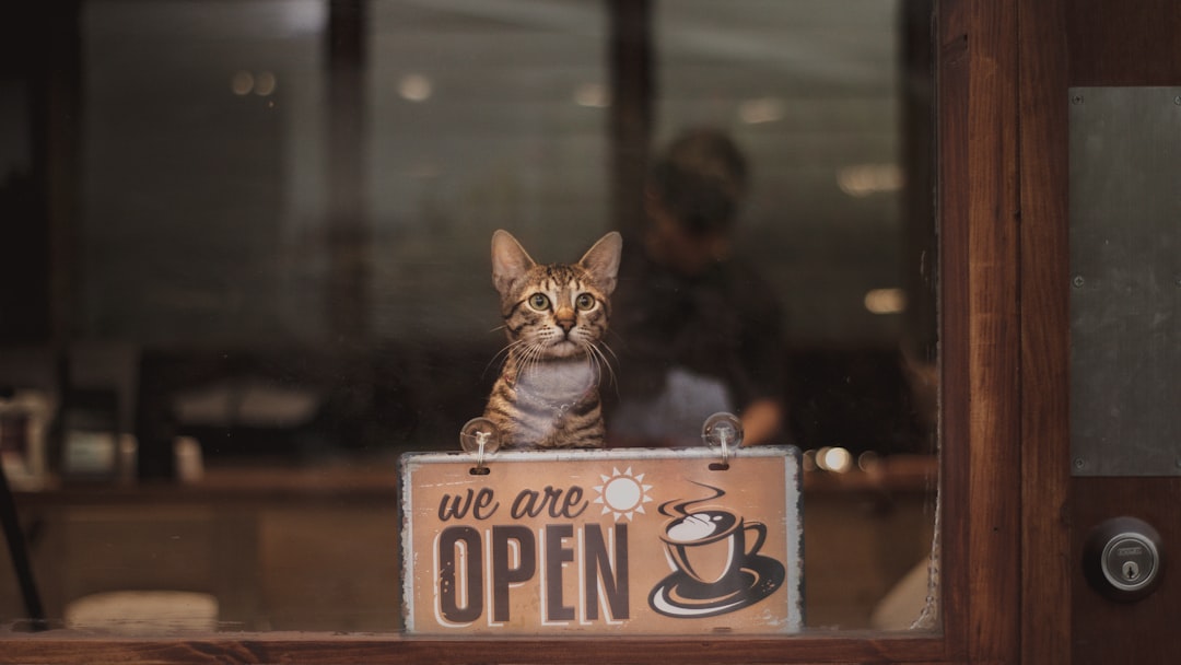 découvrez les clés de l'entrepreneuriat avec notre guide sur la propriété d'entreprise. apprenez comment gérer efficacement votre business, les défis à relever et les opportunités à saisir pour réussir en tant qu'entrepreneur.