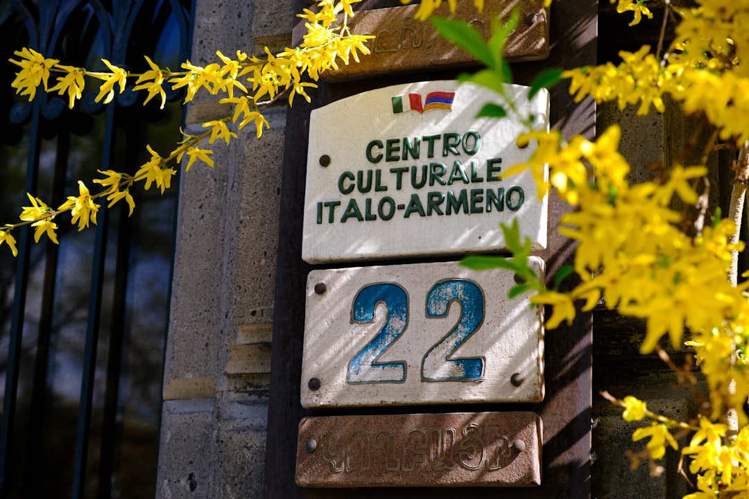 découvrez les éléments culturels fondamentaux qui façonnent les sociétés à travers le monde. explorez la diversité des traditions, des croyances et des pratiques qui définissent l'identité culturelle de chaque communauté.