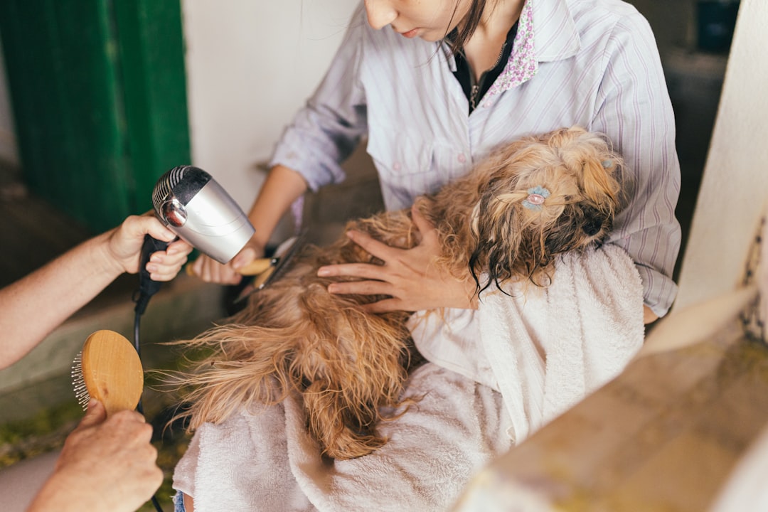 offrez à votre chien un toilettage professionnel et attentionné avec nos services de grooming. des coupes de poils stylées aux bains relaxants, nous nous occupons de votre compagnon à quatre pattes pour qu'il soit toujours propre, élégant et heureux.