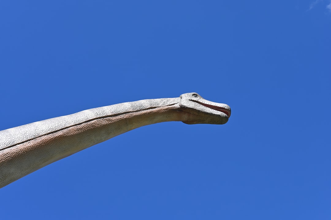 découvrez l'art du placo avec nos experts en drywaller. spécialisés dans la pose de plaques de plâtre, nous garantissons une finition parfaite pour vos murs et plafonds. un service de qualité pour tous vos projets de rénovation ou de construction.
