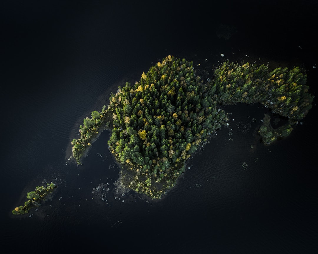 découvrez l'importance de l'analyse environnementale pour évaluer l'impact des activités humaines sur notre planète. apprenez les méthodes et outils essentiels pour une évaluation approfondie et engagée, visant la durabilité et la préservation des ressources naturelles.