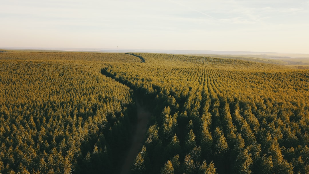 découvrez notre analyse approfondie de l'environnement, incluant les tendances actuelles, les enjeux écologiques et les actions à entreprendre pour un futur durable. informez-vous sur les impacts environnementaux et comment chaque individu peut contribuer à la protection de notre planète.