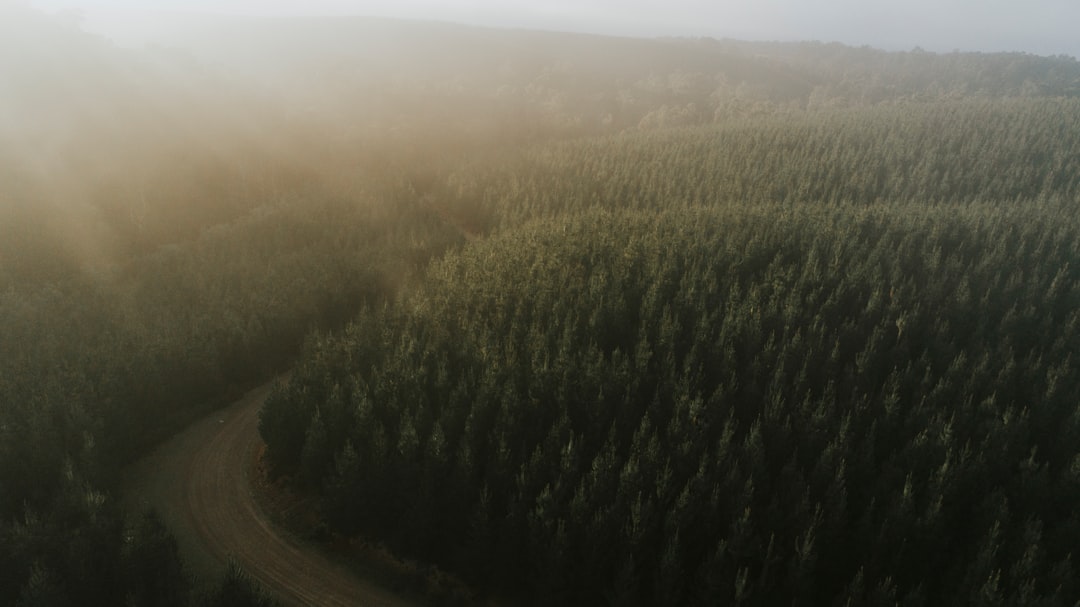 découvrez les enjeux clés de l'analyse environnementale, un processus essentiel pour évaluer l'impact des activités humaines sur notre planète. explorez les méthodes, outils et stratégies pour une gestion durable de l'environnement.