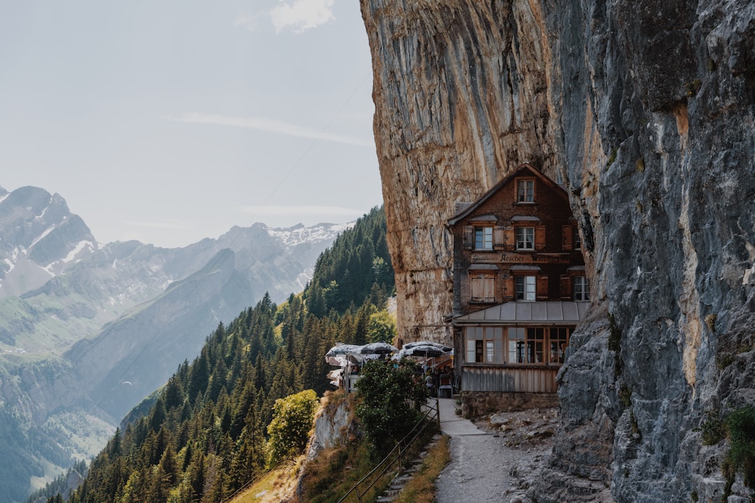 découvrez notre charmante guesthouse, un havre de paix offrant confort et convivialité. profitez d'un séjour inoubliable dans un cadre agréable, avec des chambres confortables et un accueil chaleureux. parfait pour les voyageurs en quête de détente et d'authenticité.