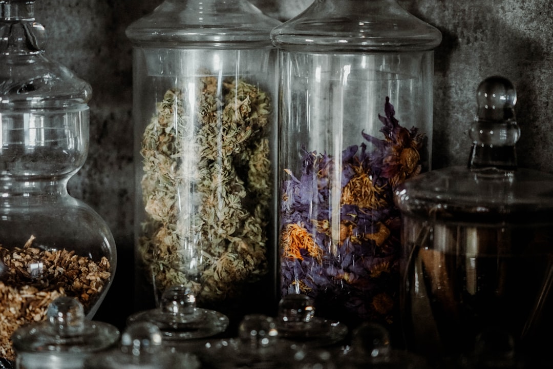 découvrez l'univers fascinant des herboristes, ces experts en plantes médicinales. apprenez comment les herbes peuvent améliorer votre santé, trouver des remèdes naturels et explorer des recettes de tisanes, tout en respectant les traditions ancestrales. plongez dans la sagesse des plantes avec nous.