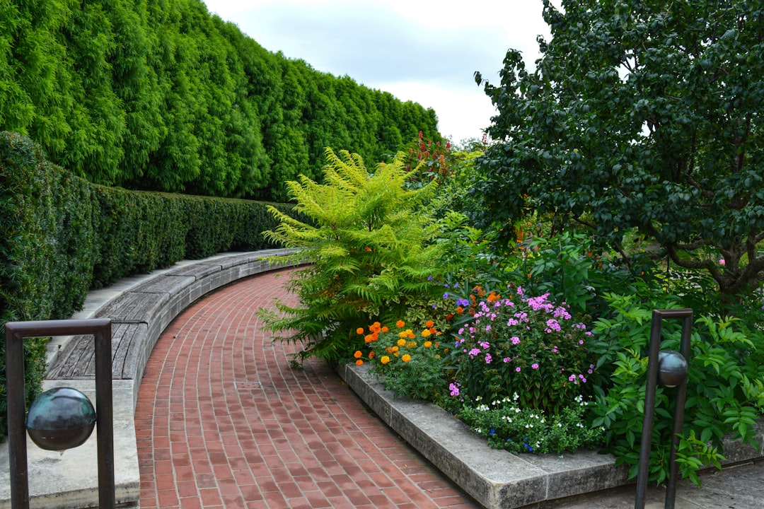 découvrez l'art de l'aménagement paysager avec nos conseils et inspirations pour transformer votre jardin en un véritable havre de paix. explorez des idées créatives, des techniques professionnelles et des astuces pratiques pour embellir votre espace extérieur.