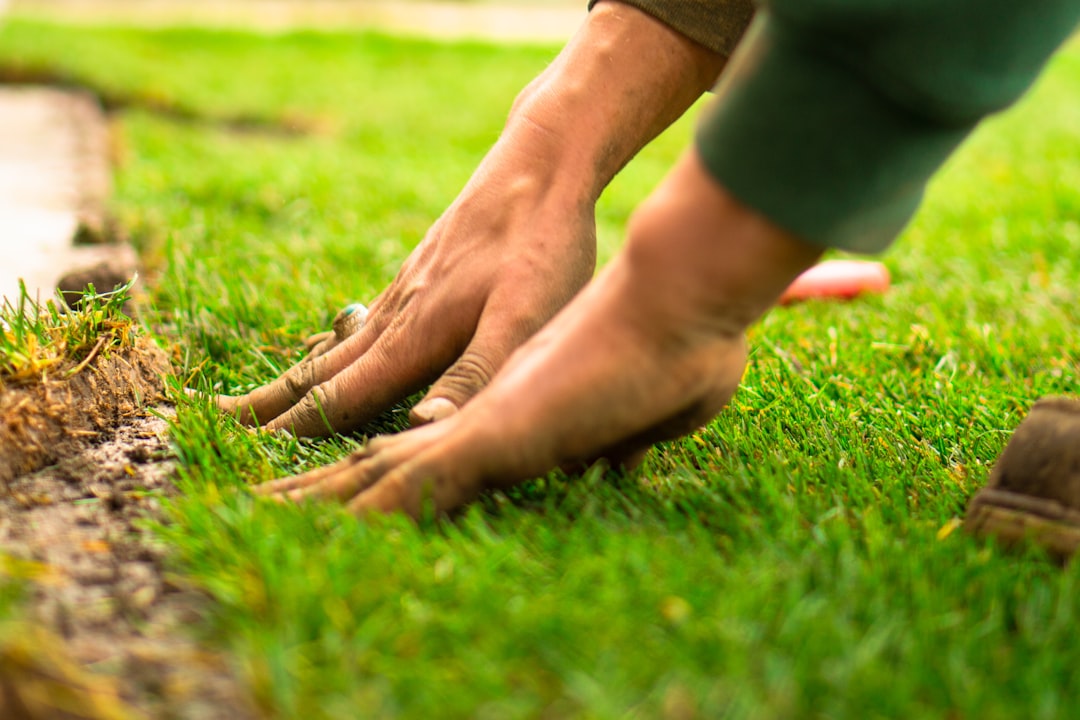 découvrez l'art du landscaping pour transformer votre espace extérieur en un véritable havre de paix. nos experts en aménagement paysager conçoivent des jardins adaptés à vos envies, alliant esthétique et fonctionnalité. sublimez votre environnement avec des solutions durables et créatives.