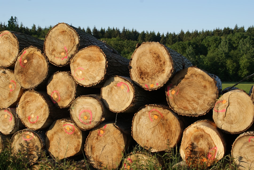 découvrez comment optimiser votre entreprise de logging grâce à des stratégies efficaces, des conseils d'experts et des solutions innovantes pour améliorer la gestion forestière et maximiser votre rentabilité.