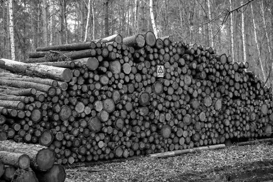découvrez le secteur du logging, une activité essentielle pour la gestion durable des forêts. apprenez comment cette entreprise contribue à l'économie tout en préservant l'environnement grâce à des pratiques responsables.