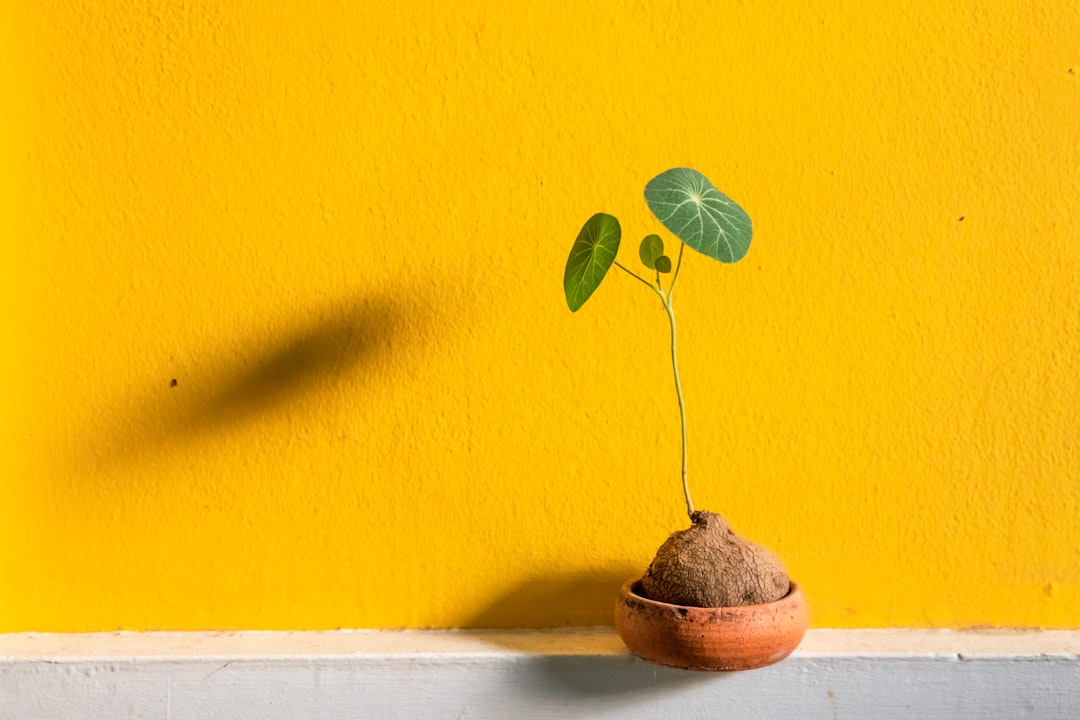 découvrez le micro-entrepreneuriat : une façon innovante et accessible de se lancer dans les affaires. apprenez à créer, gérer et développer votre propre activité avec des conseils pratiques et des ressources adaptées.