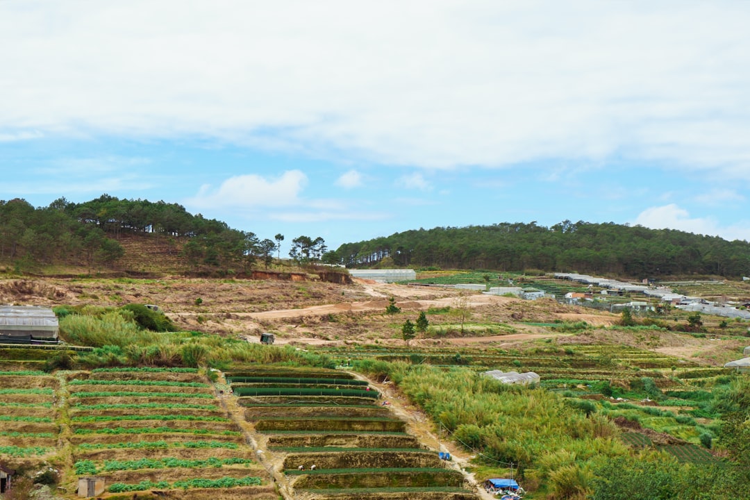 découvrez le micro-farming, une pratique agricole durable et innovante qui vous permet de cultiver vos propres aliments dans de petits espaces. apprenez à optimiser votre jardin urbain, à sélectionner les meilleures plantes et à adopter des techniques respectueuses de l'environnement pour une alimentation saine et locale.