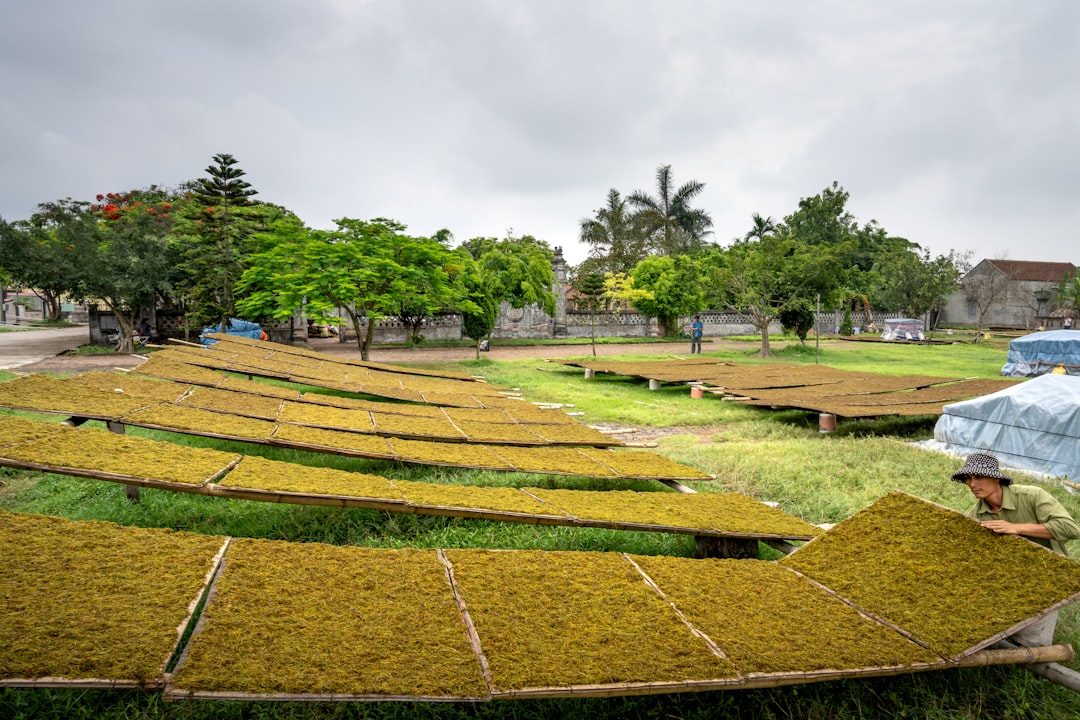 découvrez le micro-farming, une méthode innovante et durable de culture qui permet de produire des aliments frais sur de petites surfaces. apprenez les techniques essentielles pour optimiser votre espace et contribuer à une agriculture responsable.