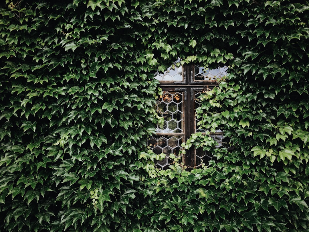 découvrez l'univers fascinant des niches : conseils, astuces et inspirations pour créer un espace unique qui vous ressemble. explorez des idées originales pour aménager votre niche selon vos envies et votre style de vie.