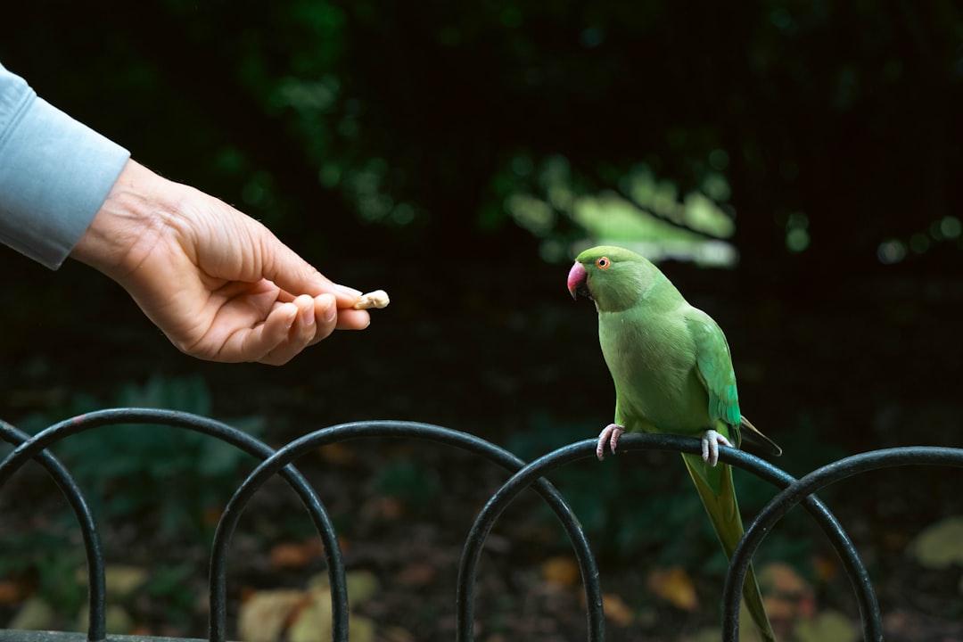 découvrez l'art de la communication persuasive : techniques, stratégies et conseils pour convaincre et inspirer votre auditoire. apprenez à maîtriser les subtilités du langage et à bâtir des relations solides grâce à une communication impactante.