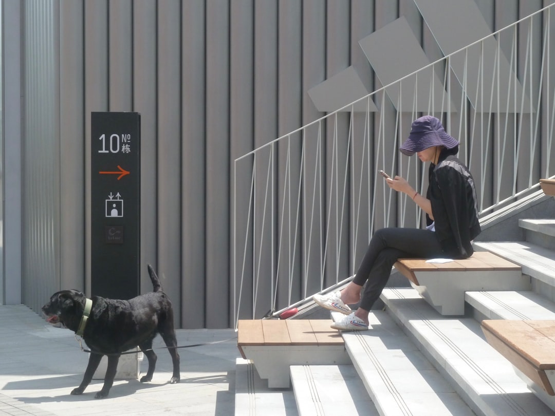 découvrez notre service de pension pour animaux, où votre compagnon à quatre pattes sera choyé et pris en charge par des professionnels passionnés. offrez à votre animal un séjour confortable et sécurisé pendant votre absence, avec des activités adaptées à ses besoins.