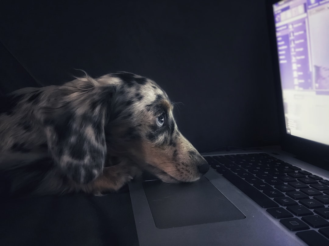 découvrez le guide ultime pour réussir dans le secteur des animaux de compagnie. des conseils sur la création d'une entreprise, le marketing, et la gestion des services pour tous les passionnés d'animaux. transformez votre passion en réussite avec notre expertise dans le domaine du pet business.