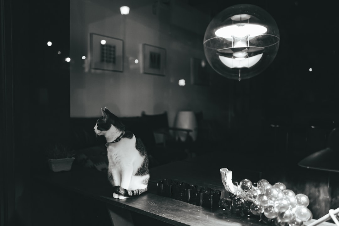 découvrez les meilleures stratégies pour réussir dans le secteur des animaux de compagnie. apprenez comment développer votre entreprise de manière efficace, attirer de nouveaux clients et fidéliser vos fidèles amis à quatre pattes.