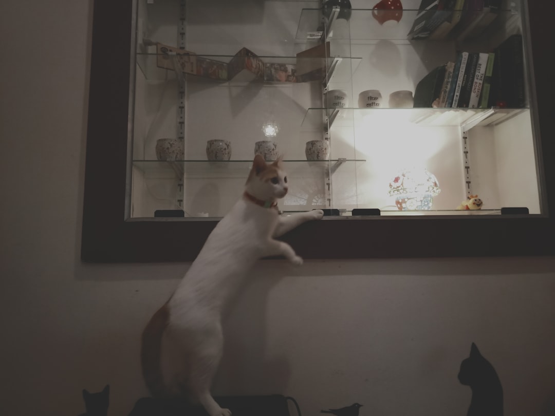 découvrez tout sur le monde des affaires pour animaux de compagnie : conseils, astuces et stratégies pour réussir dans le secteur du pet business. que vous souhaitiez ouvrir une pension pour animaux, une boutique de fournitures ou offrir des services de toilettage, trouvez ici les informations essentielles pour faire prospérer votre entreprise dédiée aux amis à quatre pattes.
