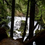 découvrez l'univers du prospect, la première étape essentielle pour transformer des leads en clients. apprenez comment identifier, qualifier et engager vos prospects de manière efficace pour maximiser vos ventes.