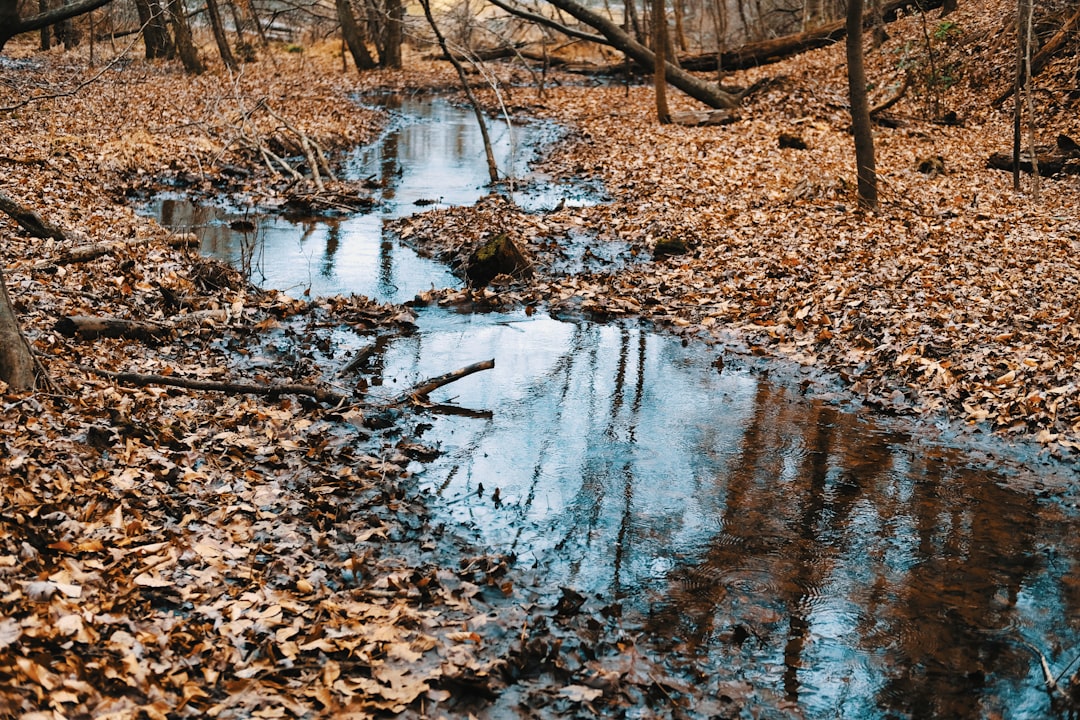 découvrez le monde fascinant de la psychanalyse, une approche thérapeutique qui explore les profondeurs de l'inconscient. apprenez comment un psychanalyste peut vous aider à comprendre vos pensées, vos émotions et vos comportements, afin de surmonter vos difficultés et d'améliorer votre bien-être mental.
