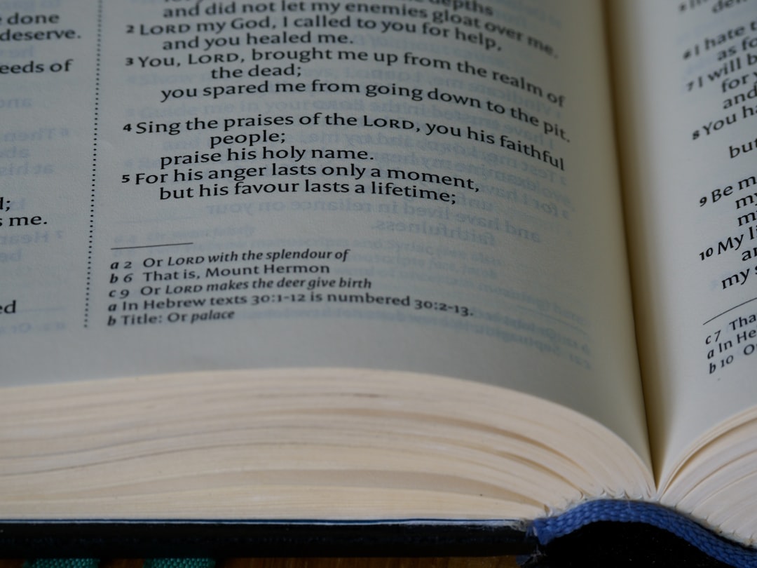 découvrez notre template de livre de recettes, idéal pour organiser vos plats préférés ! personnalisez-le facilement et partagez vos créations culinaires avec vos amis et votre famille. transformez vos recettes en un ouvrage unique et rempli de saveurs.