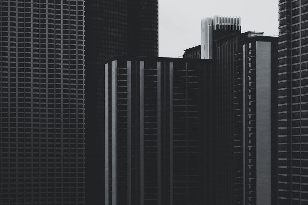découvrez le concept de capital social, une notion clé en sociologie et en économie qui désigne les relations, réseaux et normes de confiance qui facilitent la coopération au sein des groupes. apprenez comment le capital social influence le développement personnel et communautaire, ainsi que son impact sur la performance économique.