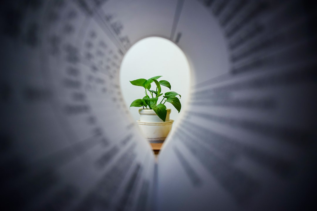 découvrez des idées de business durables qui allient innovation et respect de l'environnement. explorez des initiatives écoresponsables pour créer une entreprise prospère tout en préservant notre planète.