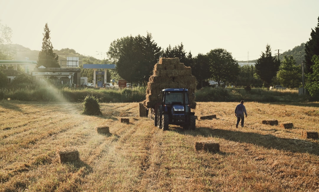 découvrez l'agriculture urbaine, une approche innovante qui transforme les espaces urbains en jardins productifs. explorez les bienfaits de cultiver des aliments frais en ville, réduire l'empreinte carbone, et promouvoir une alimentation durable grâce à des techniques de jardinage adaptées. rejoignez le mouvement vers des villes plus vertes et plus résilientes.