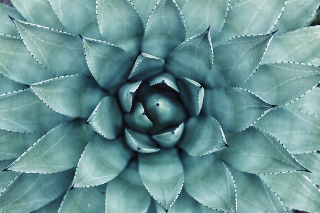découvrez un monde de bien-être avec des conseils pratiques, des techniques de relaxation et des astuces pour améliorer votre qualité de vie. plongez dans l'univers du wellness et transformez votre quotidien en un espace de sérénité et de santé.